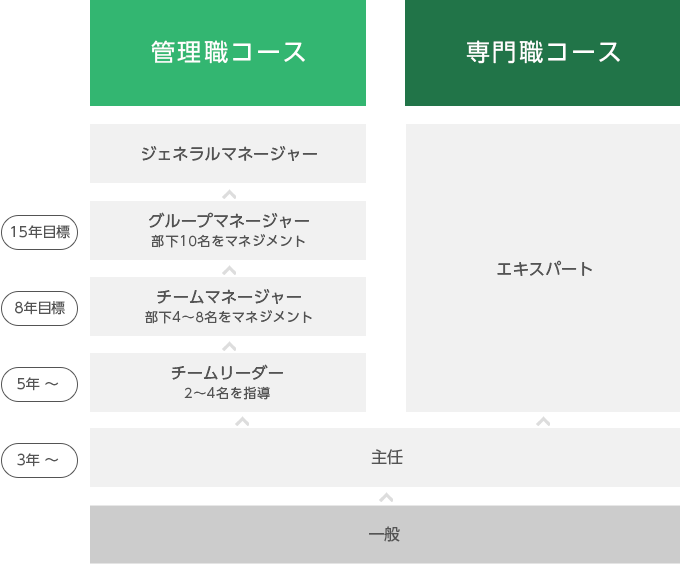 キャリアパスの図